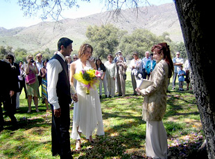 Deborah Young Wedding Pictures
